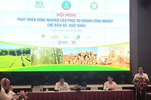 Đóng góp 10,7% lượng gỗ sử dụng trong sản xuất chết biến, gỗ cao su vẫn là thế mạnh của nhành xuất khẩu nội thất tại Việt Nam